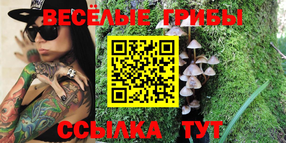 Галлюциногенные грибы Cubensis  Галлюциногенные грибы мицелий  Вход с VPN  Калуга 
