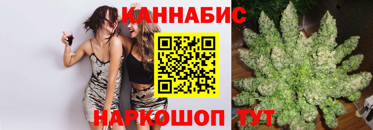 Калуга  Бошки Шишки планчик  Канабис планчик  Вход с VPN 